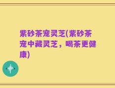 紫砂茶宠灵芝(紫砂茶宠中藏灵芝，喝茶更健康)