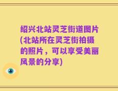 绍兴北站灵芝街道图片(北站所在灵芝街拍摄的照片，可以享受美丽风景的分享)
