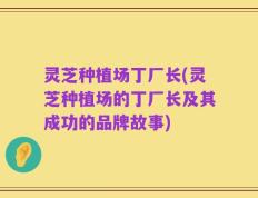 灵芝种植场丁厂长(灵芝种植场的丁厂长及其成功的品牌故事)
