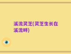 溪流灵芝(灵芝生长在溪流畔)