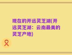 现在的开远灵芝湖(开远灵芝湖：云南最美的灵芝产地)