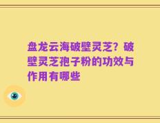 盘龙云海破壁灵芝？破壁灵芝孢子粉的功效与作用有哪些
