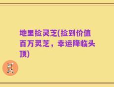 地里捡灵芝(捡到价值百万灵芝，幸运降临头顶)