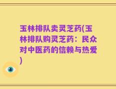 玉林排队卖灵芝药(玉林排队购灵芝药：民众对中医药的信赖与热爱)