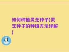 如何种植灵芝种子(灵芝种子的种植方法详解)