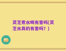 灵芝煮水喝有害吗(灵芝水真的有害吗？)