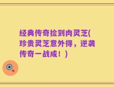 经典传奇捡到肉灵芝(珍贵灵芝意外得，逆袭传奇一战成！)
