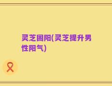 灵芝固阳(灵芝提升男性阳气)