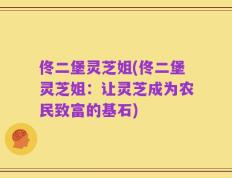 佟二堡灵芝姐(佟二堡灵芝姐：让灵芝成为农民致富的基石)