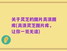 关于灵芝的图片高清图库(高清灵芝图片库，让你一览无遗)