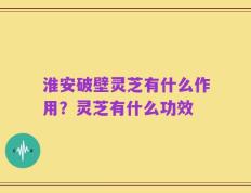 淮安破壁灵芝有什么作用？灵芝有什么功效