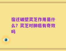 宿迁破壁灵芝作用是什么？灵芝对肺癌有奇效吗