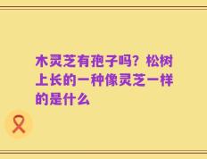 木灵芝有孢子吗？松树上长的一种像灵芝一样的是什么