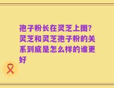 孢子粉长在灵芝上图？灵芝和灵芝孢子粉的关系到底是怎么样的谁更好