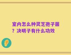 室内怎么种灵芝孢子菌？决明子有什么功效