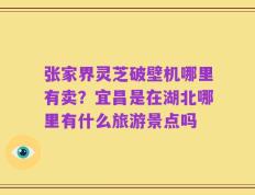 张家界灵芝破壁机哪里有卖？宜昌是在湖北哪里有什么旅游景点吗