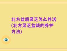 北方盆栽灵芝怎么养活(北方灵芝盆栽的养护方法)