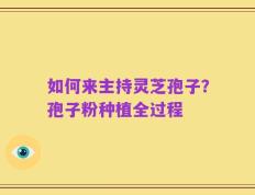 如何来主持灵芝孢子？孢子粉种植全过程