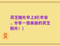 灵芝图片早上好(早安，分享一张美丽的灵芝照片！)