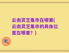 云南灵芝集市在哪里(云南灵芝集市的具体位置在哪里？)