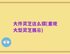 大件灵芝这么摆(重现大型灵芝展示)