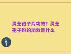 灵芝孢子片功效？灵芝孢子粉的功效是什么