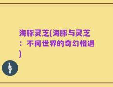 海豚灵芝(海豚与灵芝：不同世界的奇幻相遇)