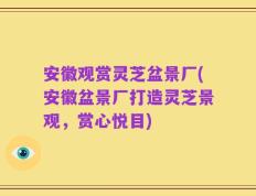 安徽观赏灵芝盆景厂(安徽盆景厂打造灵芝景观，赏心悦目)