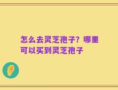 怎么去灵芝孢子？哪里可以买到灵芝孢子