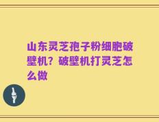 山东灵芝孢子粉细胞破壁机？破壁机打灵芝怎么做