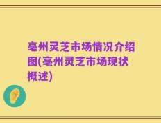 亳州灵芝市场情况介绍图(亳州灵芝市场现状概述)