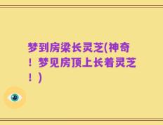 梦到房梁长灵芝(神奇！梦见房顶上长着灵芝！)