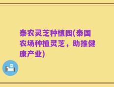 泰农灵芝种植园(泰国农场种植灵芝，助推健康产业)