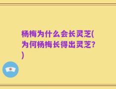 杨梅为什么会长灵芝(为何杨梅长得出灵芝？)