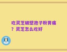 吃灵芝破壁孢子粉胃痛？灵芝怎么吃好