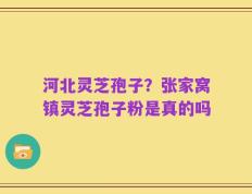 河北灵芝孢子？张家窝镇灵芝孢子粉是真的吗