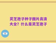 灵芝孢子种子图片高清大全？什么是灵芝孢子