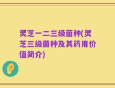灵芝一二三级菌种(灵芝三级菌种及其药用价值简介)