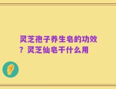 灵芝孢子养生皂的功效？灵芝仙皂干什么用