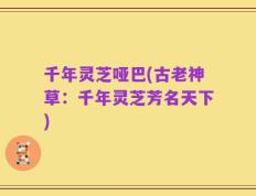 千年灵芝哑巴(古老神草：千年灵芝芳名天下)