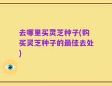 去哪里买灵芝种子(购买灵芝种子的最佳去处)