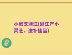 小灵芝浙江(浙江产小灵芝，滋补佳品)