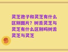 灵芝孢子和灵芝有什么区别图片？树舌灵芝与灵芝有什么区别吗树舌灵芝与灵芝