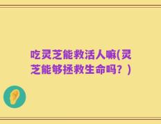 吃灵芝能救活人嘛(灵芝能够拯救生命吗？)