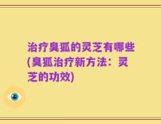 治疗臭狐的灵芝有哪些(臭狐治疗新方法：灵芝的功效)