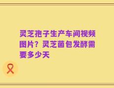 灵芝孢子生产车间视频图片？灵芝菌包发酵需要多少天