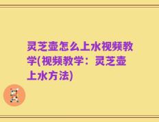 灵芝壶怎么上水视频教学(视频教学：灵芝壶上水方法)
