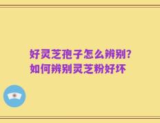 好灵芝孢子怎么辨别？如何辨别灵芝粉好坏