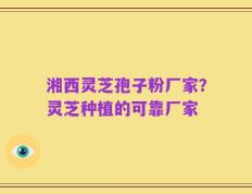 湘西灵芝孢子粉厂家？灵芝种植的可靠厂家
