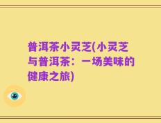 普洱茶小灵芝(小灵芝与普洱茶：一场美味的健康之旅)